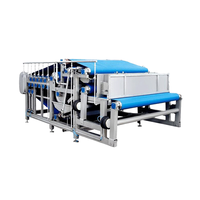 Industriële automatische roestvrijstalen 304 fruit- en groentesapverwerkingslijn koudpers sapcentrifuge machine voor appels, sinaasappels en bananen