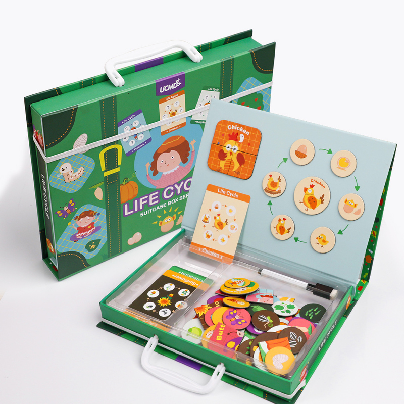 Hot Selling Preschool Educational Toys Custom