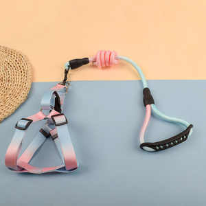 สายจูงสุนัขและสายรัดไนล่อนสีสันสดใสปรับได้พร้อมห่วงรูปตัว D คู่ - Product Image 2