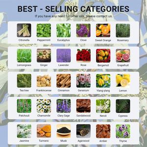 Huile essentielle d'<span class=keywords><strong>eucalyptus</strong></span>, huile d'aromathérapie à la citronnelle et à la menthe poivrée pour diffuseur à bâtonnets, massage, soin de la peau et des cheveux, savon, bougie, parfum. - Product Image 2