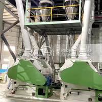 Ligne de production de granulés d'aliments pour bétail RICHI 10t/h - Ligne de production d'aliments pour animaux personnalisée gratuite, ligne de production de granulés d'aliments pour poulets