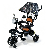 Nouveau tricycle pour bébé avec cadre en acier au carbone, poignée de poussée amovible, siège rotatif, tricycle pliable pour bébé et enfant de 2 à 4 ans