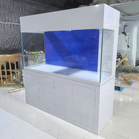 Aquarium marin sur mesure en verre ultra-blanc pour coraux avec meuble, sump, écumeur de protéines et refroidisseur d'aquarium
