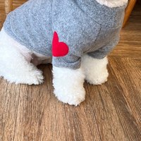 2025 hiver polaire sweat à capuche pour animaux de compagnie mignon coeur motif chien chat pull chaud en peluche pull pour petits chiens Teddy Bichon Yorkie lavable
