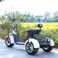 2000w 60v1 2ah/20ah batterie au lithium citycoco gros pneu cee scooters électriques trois roues moto tricycle tricycle tricycle