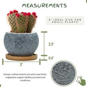 Juego de 6 Macetas de Cerámica Ecológicas de 3 Pulgadas para Plantas de Interior, con Orificio de Drenaje, Diseño Moderno, para Suculentas - Product Image 2