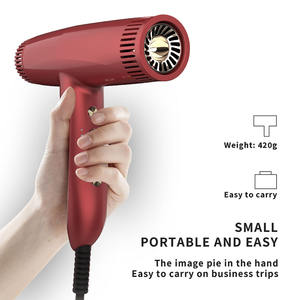 Multifunzione professionale nuovo palmare ad alta potenza phon asciugacapelli Set regalo per soffiare i capelli - Product Image 6