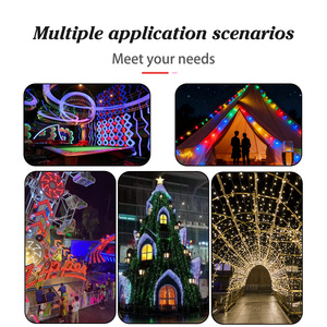 Luci LED Pixel RGB Colorate per Esterni, Illuminazione per Parchi, Giardini, Festività, <span class=keywords><strong>Casa</strong></span>, 12V 24V Impermeabili IP68 - Product Image 4