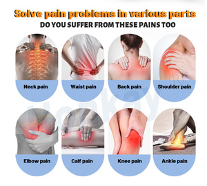 Appareil de massage PEMF le mieux noté pour soulager les douleurs musculaires, dispositif à double commande, directement de l'usine, pour usage personnel et équin - Product Image 3