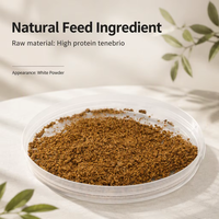 Poudre de vers de farine séchés riches en protéines pour additif alimentaire