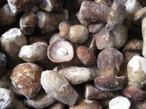 Sinocharm, precio de fábrica, marcas OEM, Wild Porcini, IQF, Frozen, <span class=keywords><strong>Boletus</strong></span> <span class=keywords><strong>Edulis</strong></span> - Product Image 3