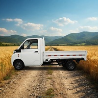 Camionnette légère homologuée EEC Yuantong T10, fiable pour les trajets courts, faible coût d'exploitation, marché européen, véhicule électrique