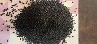 Graines de basilic noir biologique en vrac de haute qualité et à prix compétitif 99 GOLD DATA WS 0084587176063
