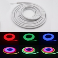 Bande LED néon flexible RGB 16*16, étanche, pour l'aménagement de salle de jeu, éclairage d'ambiance RGB