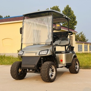 Carrito de Golf Eléctrico de 2 Plazas para Exportación, Venta al Por Mayor - Product Image 1