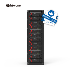 Solution de stockage d'énergie Erhtwone ESS 60 kW, batteries Lifepo4 51,2 V 100 Ah, <span class=keywords><strong>8</strong></span> unités en parallèle, batterie de montage en rack 800 Ah pour la maison - Product Image 5
