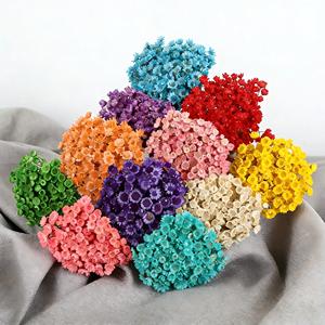 Mini Margherite Essiccate Brasiliane all'Ingrosso per Oggetti di Scena Fotografici, Decorazioni Nuziali e Creazioni in Resina - Fiori Selvatici Naturali - Product Image 2