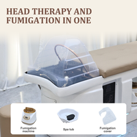 Fauteuil de lavage de luxe moderne de style thaïlandais pour salon de coiffure haut de gamme, lit de spa pour thérapie capillaire avec éclairage