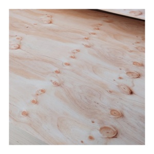 15mm 4X8 pulgadas Núcleo de álamo CDX <span class=keywords><strong>Pino</strong></span> Hoja de madera contrachapada estructural <span class=keywords><strong>Precio</strong></span> Madera contrachapada de <span class=keywords><strong>pino</strong></span> - Product Image 1