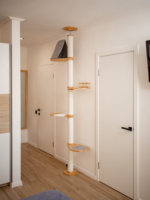 Arbre à chat mural en bois avec étagères, poteau à gratter pour chat, arbre à chat du sol au plafond, grattoir pour chat