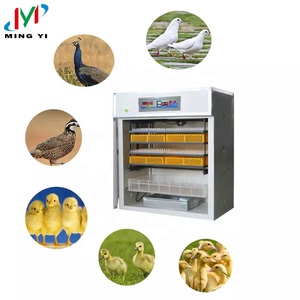 China Mingyi-880 New Condition and Bird,Ostrich,parrot <strong>Fertile</strong> <strong>Egg</strong> Usage Fertilized <strong>Turkey</strong> <strong>Eggs</strong> Incubator for Sale - Product Image 1