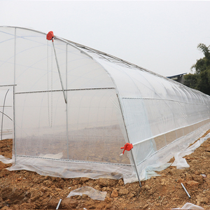 Tunnel serra agricola a campata singola di grandi dimensioni con pellicola in PE per la coltivazione <span class=keywords><strong>del</strong></span> peperone - Product Image 6