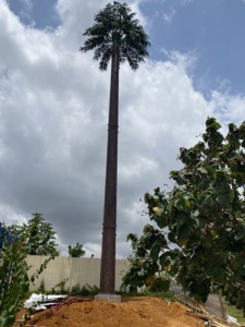25m/30m/45m/60m GSM đài phát thanh ngụy trang monopole tháp di động <span class=keywords><strong>Palm</strong></span> <span class=keywords><strong>Tree</strong></span> tháp - Product Image 6