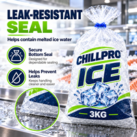 Sac d'emballage pour glace en LDPE durable, étanche, capacité de charge 3kg, 5kg, 7kg, 10kg, pour la vente en gros, ODM, OEM, destiné aux marchés de fruits de mer et à la chaîne du froid