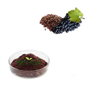 Food Supplement Natural Plant Extract 95% OPC Procyanidins Powder Grape Seed Extract