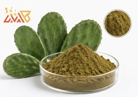 Fournisseur de poudre d'extrait de cactus naturel de haute qualité