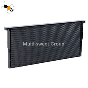 Plastic Bee Frame With Bee <strong>Foundation</strong> Sheet - Product Image 5