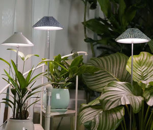 <span class=keywords><strong>Lampe</strong></span> de croissance LED moderne <span class=keywords><strong>avec</strong></span> diode 10w <span class=keywords><strong>Lampe</strong></span> de table pour petite plante à intensité variable <span class=keywords><strong>avec</strong></span> minuterie à hauteur réglable <span class=keywords><strong>Lampe</strong></span> de croissance LED pour <span class=keywords><strong>serre</strong></span> - Product Image 4