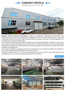 生鮮肉陳列カウンター 業務用 肉陳列ショーケース 冷凍庫 冷蔵機器 - Product Image 6