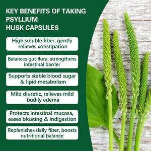 Капсулы с порошком шелухи подорожника |   Концентрированная растительная добавка из Plantago Ovata |   Без ГМО, веганский продукт, для поддержки пищеварения и здоровья кишечника - Product Image 5