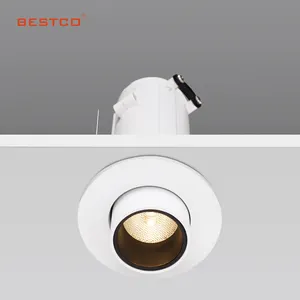 Elevate Your Indoor Lighting Experience With Adjustable Aluminum LED Spotlights IP20 Rated Available In Recessed COB Base Types