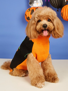Divertido y bonito abrigo de cabeza de calabaza naranja para perros pequeños Gatos de dos patas Ropa de punto para mascotas para invierno Verano Primavera-Estilo clásico - Product Image 3