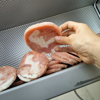 Mesin Pengiris Daging Beku Otomatis Industri, Baja Tahan Karat 304, Bersertifikasi CE, untuk Daging Sapi Babi Kambing di Toko Daging