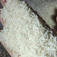 Machine à Décortiquer le Riz Intelligente Automatique, Égraineuse Électrique pour Usage Domestique, Machine de Mouture et de Décorticage du Riz