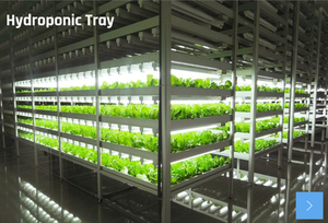 Tray Grow Tray Factory Wholesale Plant Grow Germination Abs Planting Black Plastic Hydroponics Tray