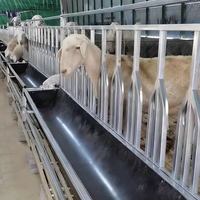 Mangeoire à bascule robuste pour chèvres avec barrière de cou, durable et anti-violence, pour l'alimentation du bétail (moutons et chèvres) en ferme