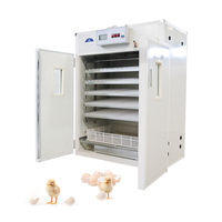 Incubateur automatique à œufs de volaille 880 œufs / Machine d'éclosion d'œufs
