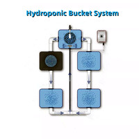 Système hydroponique DWC en pot carré de 20L, seau hydroponique, systèmes de culture hydroponique d'intérieur