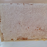 Imkereibedarf Kunststoff-Honigrahmen Kunststoff-Grundlagen Honigwaben-Herstellungsbox