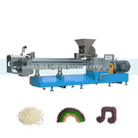 Nouvelle ligne de traitement du riz artificiel en acier inoxydable de qualité alimentaire à haute capacité, avec extrudeuse bivis automatique pour machine
