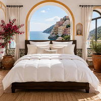 Couette toutes saisons 95% duvet d'oie blanc, taille Queen, chaleur toute l'année, en coton anti-déchirure, matelassée, vente en gros