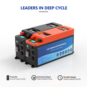 BMD <span class=keywords><strong>แบตเตอรี่</strong></span>ขนาด12โวลต์จาก Campervan สำหรับสันทนาการแบตเตอรี่314ah 300ah 320ah <span class=keywords><strong>แบตเตอรี่</strong></span>ลิเธีย<span class=keywords><strong>ม</strong></span>ขนาด<span class=keywords><strong>200</strong></span><span class=keywords><strong>แอ</strong></span><span class=keywords><strong>ม</strong></span><span class=keywords><strong>ป์</strong></span> RV 314ah 300ah 280ah <span class=keywords><strong>200</strong></span> - Product Image 2