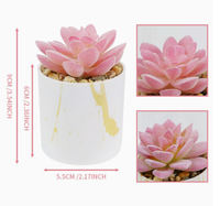Tanaman Sukulen Buatan Grosir, Pot Plastik Pink, Set 4 Sukulen Mini Palsu, Tahan Lama, Ramah Lingkungan, Cocok untuk Pernikahan