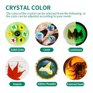 Taxidermia Personalizada en Resina, Insecto con Alas Transparentes, Espécimen de Animal en Bloque de Resina, Kits de Aprendizaje de Biología para Niños - Product Image 4