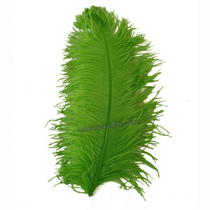55cm 60cm Floral bricolage artisanat vert citron plume d'autruche Prime Femina pas cher plume d'autruche pour mariage - Product Image 4