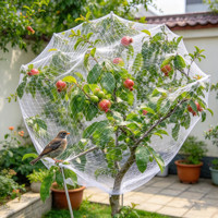 Filet anti-oiseaux OEM résistant aux intempéries pour la protection des fruits, des jardins potagers, des vignes sous auvent et sous serre